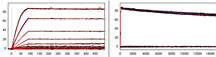 High Resolution Biacore Screening